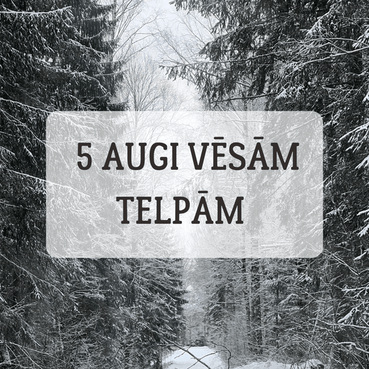 5 TELPAUGI VĒSĀM TELPĀM - www.augi-plants.lv