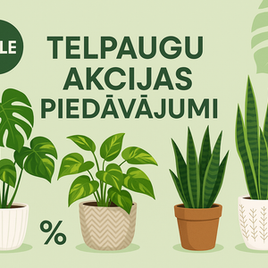 Акционное предложение