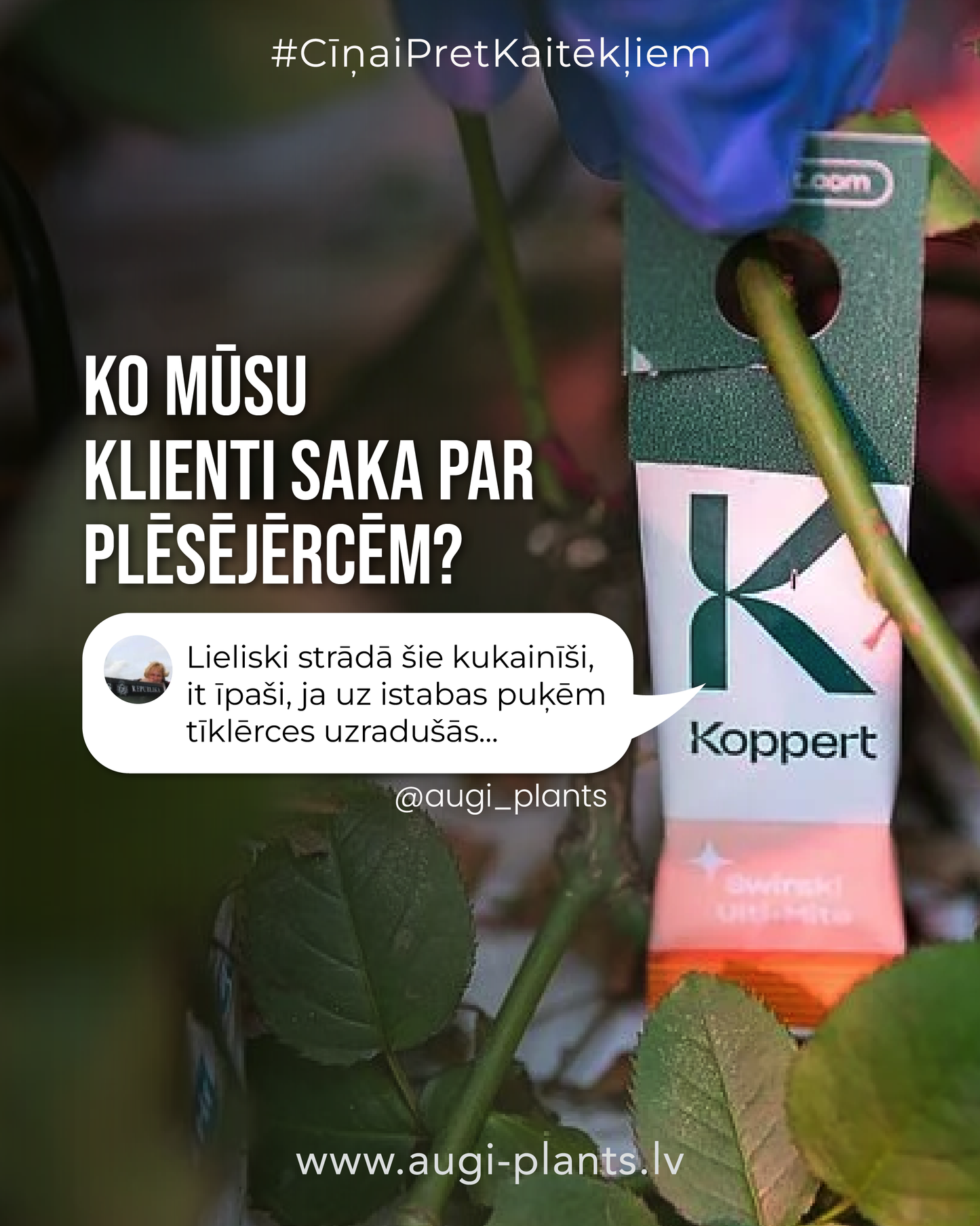 Röövlestad