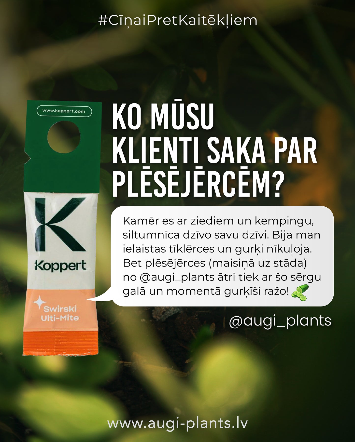 Röövlestad