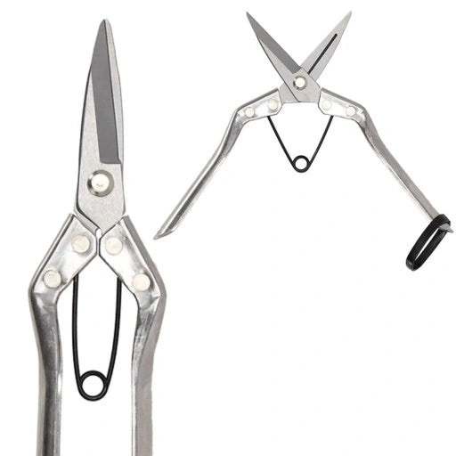 Houseplant scissors