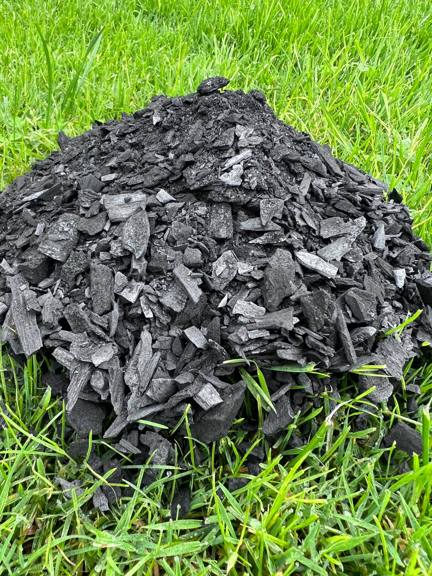 Bioogle / Aktivētā ogle 1L - www.augi-plants.lv