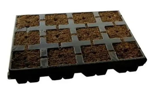 Sēšanas komplekts - www.augi-plants.lv