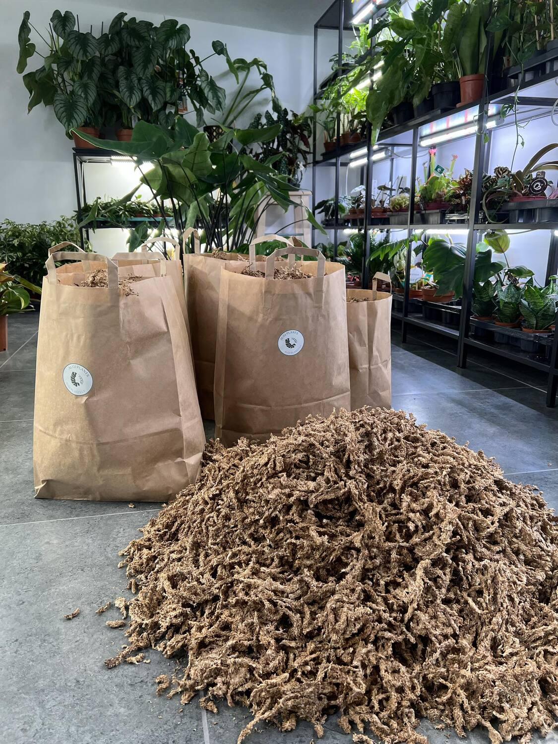 Sfagnu Sūnas - www.augi-plants.lv