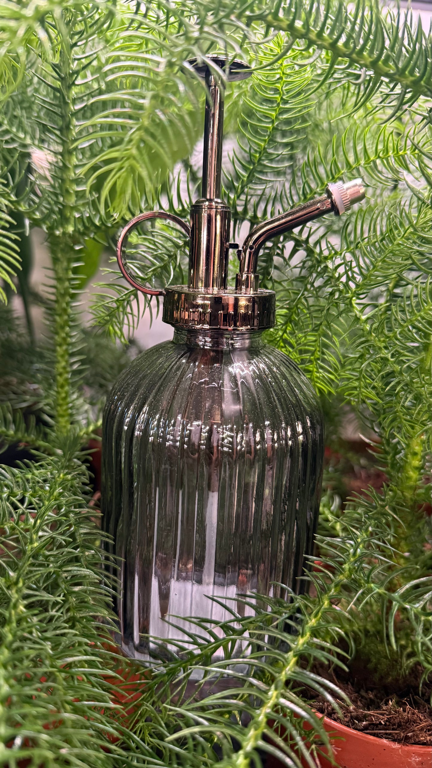Glass spray bottle