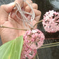Hoya latifolia Green