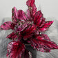 Begonia Beleaf 4 - www.augi-plants.lv
