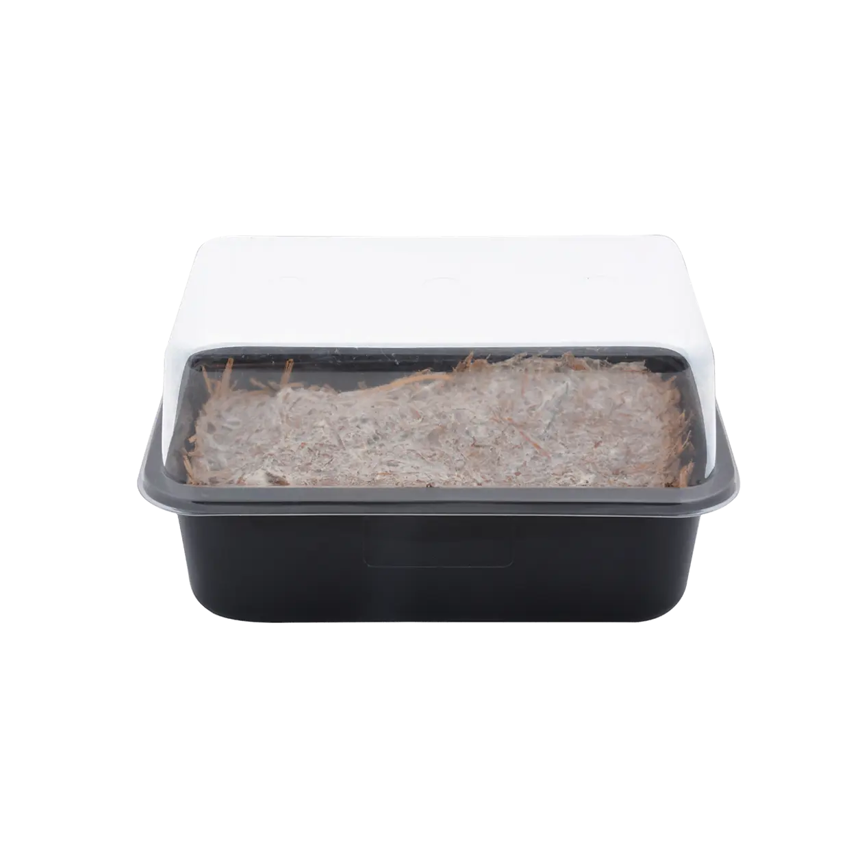 Набор для выращивания грибов