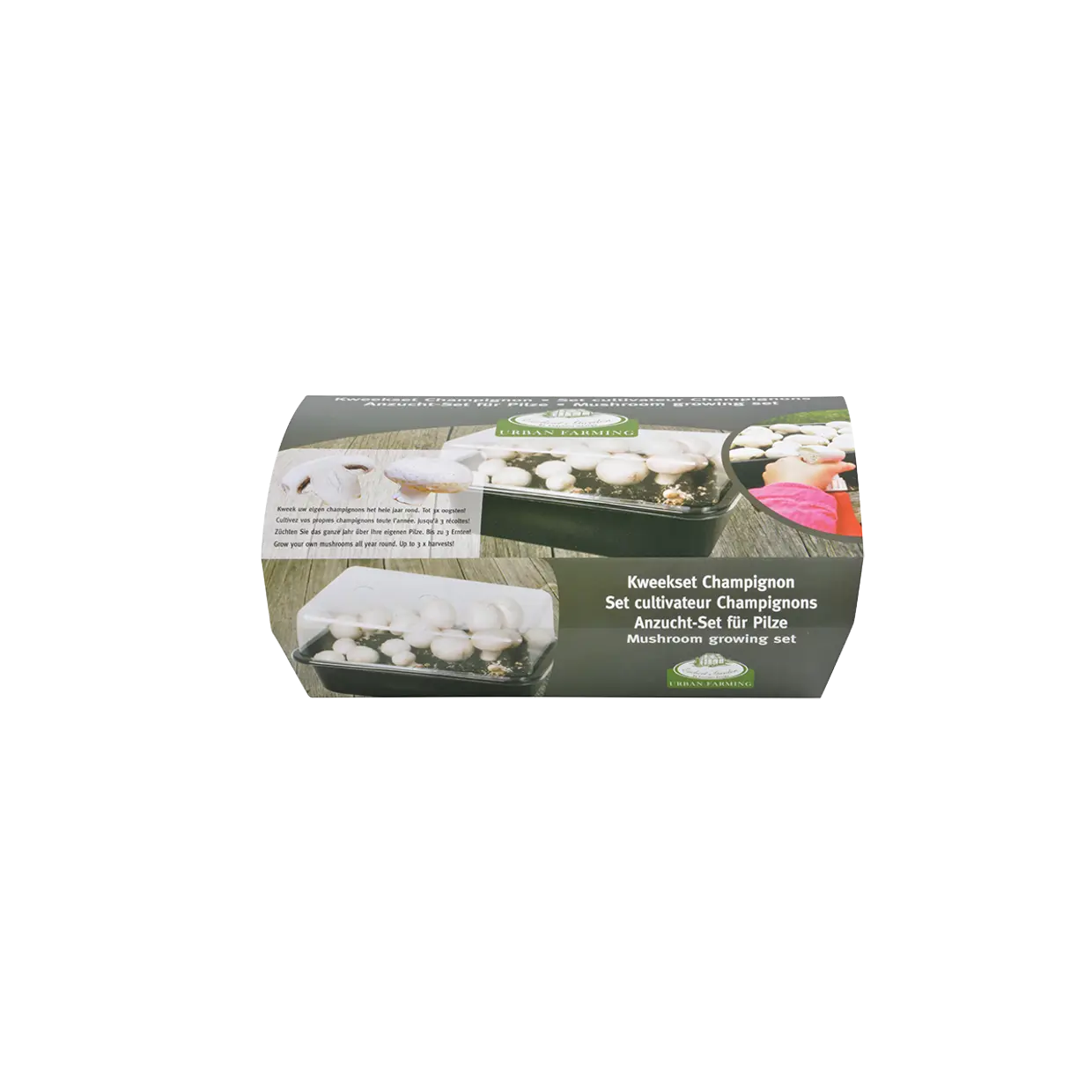 Набор для выращивания грибов