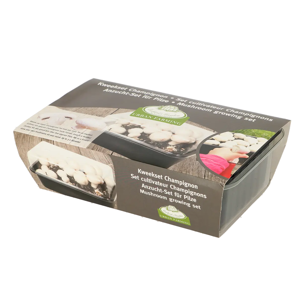 Набор для выращивания грибов