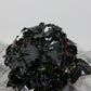 Begonia Dark Mamba
