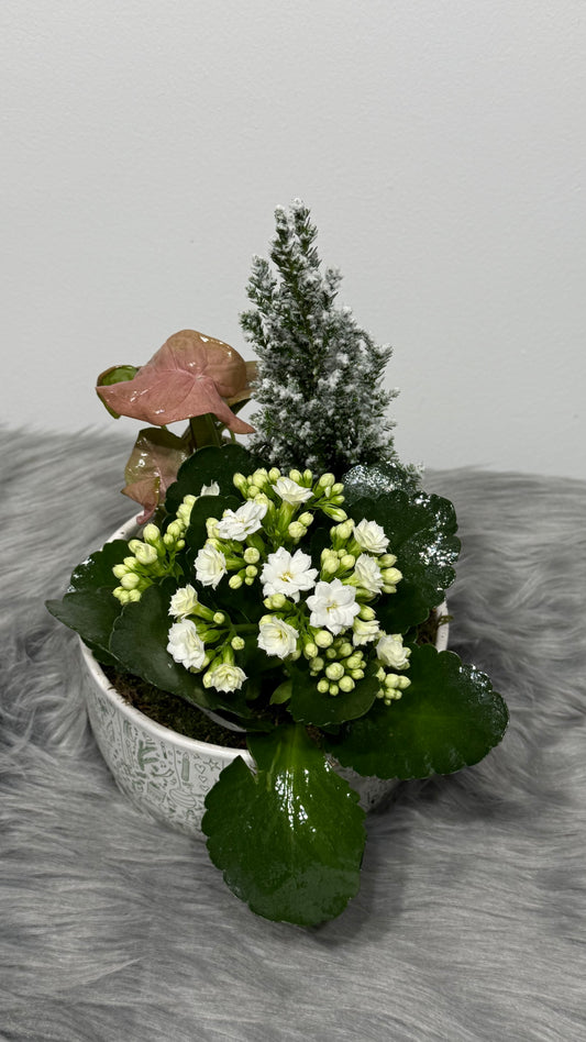 Композиция 2