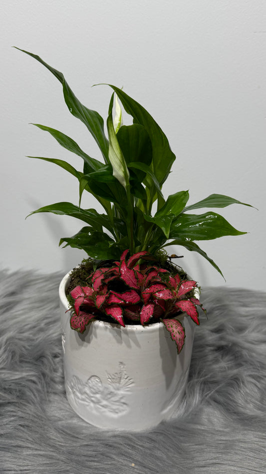 Композиция