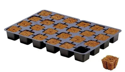 Sēšanas komplekts - www.augi-plants.lv