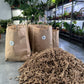 Sfagnu Sūnas - www.augi - plants.lv