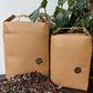 Telpaugu augsnes iepakojums premium klases - www.augi - plants.lv